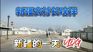 新疆农村都住上别墅了，新疆农村长啥样，农村都住徽式别墅在新疆生活，轻松愉快无压力