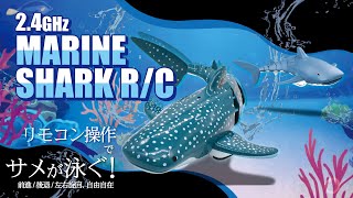 2.4GHz MARINE SHARK RC