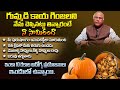 గుమ్మడి గింజలలో దాగి ఉన్న రహస్యాలు - Health Benefits Of Pumpkin Seeds By Cl Venkat Rao | THF