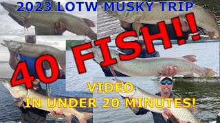 INCREDIBLE MUSKY FISHING ON LAKE OF THE WOODS!