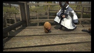 FF14 クエスト集 27.22【SideStory／レターモーグリ2】