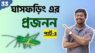 33. ঘাসফড়িং এর প্রজনন। পার্ট-3। Reproduction of Grasshopper। ঘাসফড়িং hsc