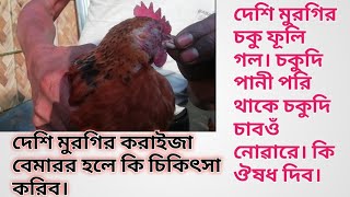 How to treatment local murgi eye disease, দেশি মুৰগিৰ কৰাইজা বেমাৰৰ চিকিৎসা।