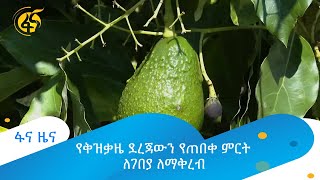 የቅዝቃዜ ደረጃውን የጠበቀ ምርት ለገበያ ለማቅረብ