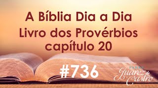 Curso Bíblico 736 - Livro dos Provérbios 20 - Primeira Coletânea Salomônica - Padre Juarez de Castro