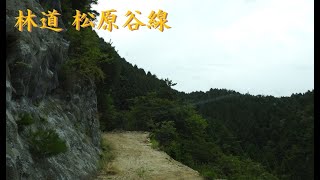 【林道 松原谷線、林道 五葉谷線、林道 鳴野谷1号線】愛媛県今治市玉川町～松山市米野町(2022.08.17)