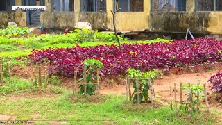 സര്‍ക്കാര്‍ ആശുപത്രിയുടെ തരിശ് ഭൂമിയില്‍ കൃഷി ചെയ്ത് നൂറുമേനി കൊയ്ത് നാട്ടുകാരുടെ കൂട്ടായ്മ