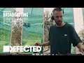 Kid Fonque (Live from Croatia, Olive Grove 06.08.22)