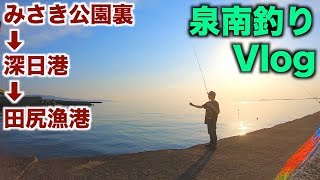 【釣り】春の泉南釣り！ポイント3箇所巡った結果は！？【Vlog】