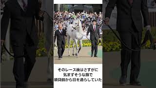 ゴールドシップはやる時はやるが盛大にやらかす【レース編】