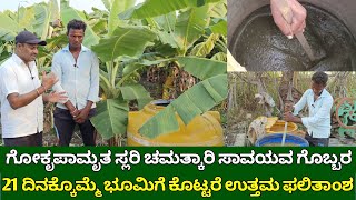 ಗೋಕೃಪಾಮೃತ ಸ್ಲರಿ ಗೊಬ್ಬರ | 21 ದಿನಕ್ಕೊಮ್ಮೆ ಕೊಟ್ಟರೆ ಉತ್ತಮ ಫಲಿತಾಂಶ | go kripa amrutam \u0026 cow dung slurry