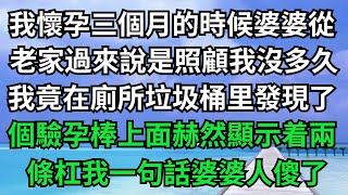 我懷孕三個月的時候，婆婆從老家過來說是照顧我，她來沒多久，我竟然在廁所垃圾桶里發現了個驗孕棒，上面赫然顯示着兩條槓！我一句話婆婆人傻了#落日溫情#情感故事#花開富貴#深夜淺讀#家庭矛盾#爽文