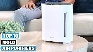 Top 10 Best Air Purifiers for Mold (2024)