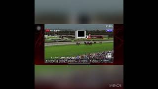 レンキョウ一族　88代目ヒヤヤッコ#shorts #競馬 #スターホースポケット #スタポケ #ゲーム