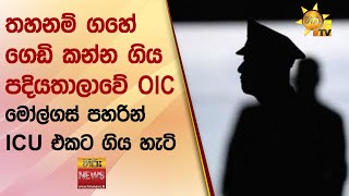 තහනම් ගහේ ගෙඩි කන්න ගිය පදියතාලාවේ OIC - මෝල්ගස් පහරින් ICU එකට ගිය හැටි - Hiru News