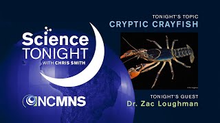 Science Tonight: Cryptic Crayfishes