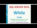 While loop in SQL | sql loop examples | sql execute multiple times
