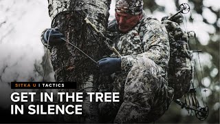 Stealthy Treestand Access Tips from a Whitetail Guide