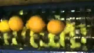 Munchers - Series F