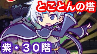 【ぷよクエ】とことんの塔・紫３０階