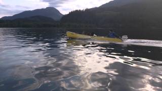 water, dogs, canoes, motor and Czarek - Stave Lake  BC. Canada.