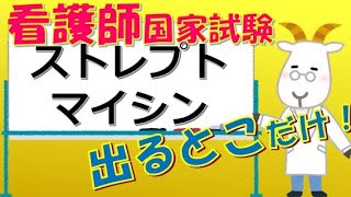 看護師国家試験出るとこだけ『ストレプトマイシン』　聞いて覚える。#shorts　　#必修問題　#看護師国家試験　#看護学生　#看護学生勉強　#アミノグリコシド