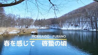 【富良野観光物語】2020.vol.189　北海道・富良野＊春を感じて～啓蟄の頃