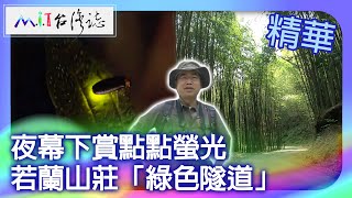 夜幕下賞點點螢光　若蘭山莊「綠色隧道」｜嘉義縣梅山鄉 麥覺明【@ctvmit722集】