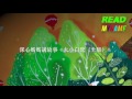 深心媽媽講故事：大小白鷺（上）【粵語】