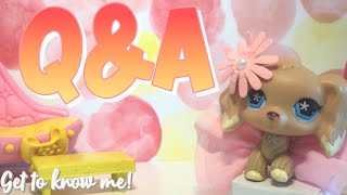 🎀LPS: Q\u0026A! | Get To Know Me!🎀