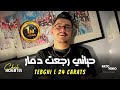 Cheb Hichem Tgv | Tebghi L 24 Carats - حياتي رجعت دمار | Avec Hani Lmirigé (Music Video)