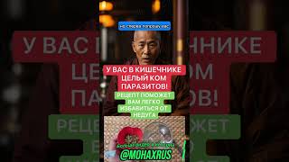 Мудрость дня #мудрость #short #shorts 131