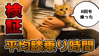 甘えん坊の猫｜膝乗り抱っこ時間を計測してみました｜検証！平均膝乗り時間