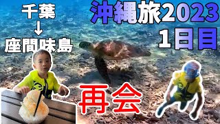 【沖縄旅行2023#1】座間味島到着！ウミガメに会いに阿真ビーチへ【トオマの夏休み2023】