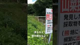 本気で立ち入り禁止