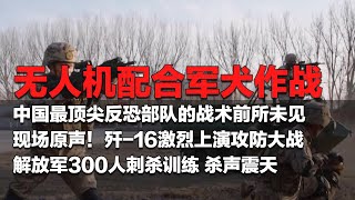 【独家】无人机和军犬一起上！看中国最顶尖反恐部队全歼“暴徒”！歼-16上演攻防大战 全面展示空中战术！近距离看解放军300人刺杀训练 现场杀声震天！新型潜艇不断入列 出发即战斗！| 军迷天下