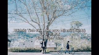 [Pinyin -Vietsub] Biệt khúc chờ nhau Tik Tok - 情深深雨濛濛 cover