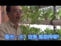 水耕試驗教學 ~~~雲林農民大學創辦人 羅朝村教授