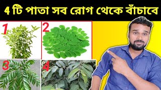 সব রোগ থেকে রক্ষা করবে এই 4 টি পাতা | Fit Thakun