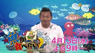 福岡県豊前市・宇島漁港【魚が食べたい！－地魚さがして３０００港－】