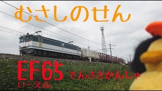 ぴょこはかせの　きかんしゃ!かっこいい!!　EF65きかんしゃ