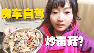 把在森林摘的6种野生菌一顿爆炒，在房车里开心大吃，这味道太诱人了！【小龙侠兜兜】