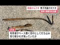 2塁に滑り込んだら地面から『クギ』が…公園で小学生が膝を10針縫う大ケガ 利用者が目印で打ち込み放置か 2023 08 02 11 59