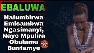 EBbaluwa Nafumbirwa Emisambwa Ngasimanyi, Naye Mpulira Obulamu Buntamye