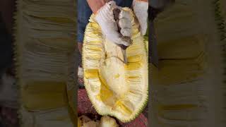 Amazing Jackfruit core cutting skills - fruit cutting skills