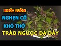 🛑Hết Luôn NGHẸN CỔ, KHÓ THỞ do Trào Ngược Dạ Dày chỉ trong 15 Ngày l Sức Khỏe Việt 247