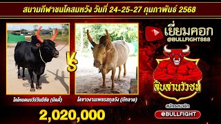 #วัวชนวันนี้ | โคโหนดนรวีร์วันมีชัย (บัดดี้) VS โคขาวงามเพชรสกุลวัง (บักลาย)