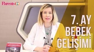 Parents TV - 7. Ay Bebek Gelişimi