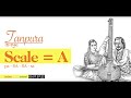 a scale tanpura 1 hour a scale tanpura ऐ स्केल तानपुरा छेवा सफ़ेद तानपुरा tanpura a scale