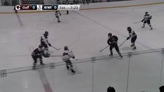 Hockey vs Alvirne/Milford - 2/22/2019